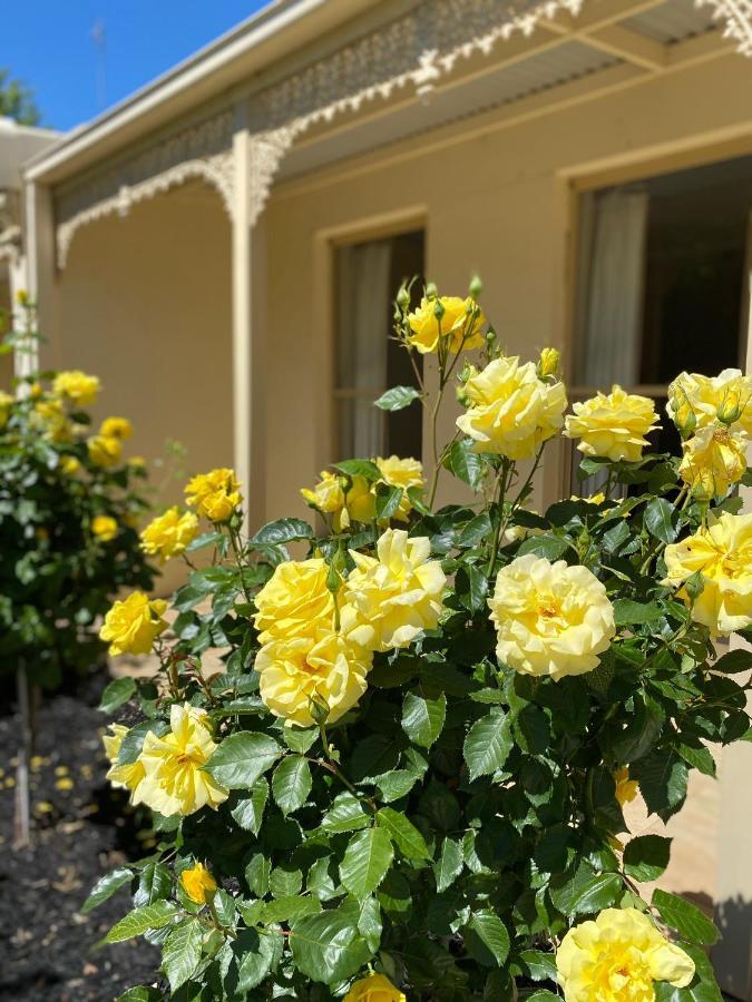Acacia Terraces Aparthotel Echuca Kültér fotó