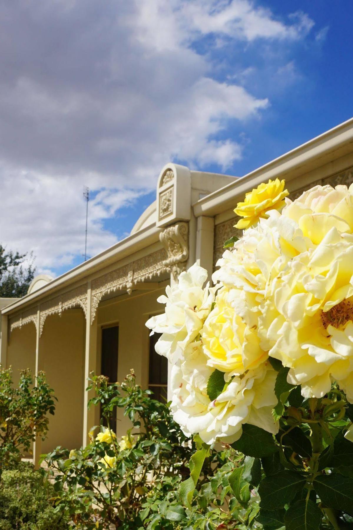 Acacia Terraces Aparthotel Echuca Kültér fotó